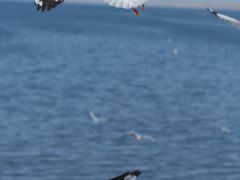 -青海湖二郎剑景区