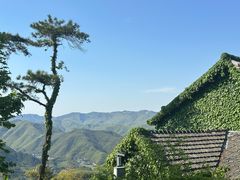 -莫干山风景区