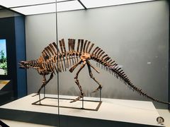 -湖南省地质博物馆