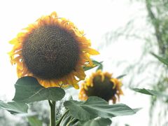 -鄂尔多斯野生动物园