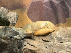 -昆明动物园