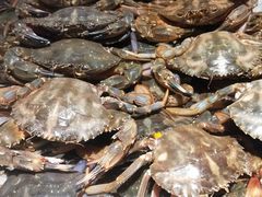 -加餐海鲜自助(宝龙一城店)