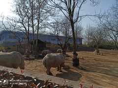 -西安秦岭野生动物园