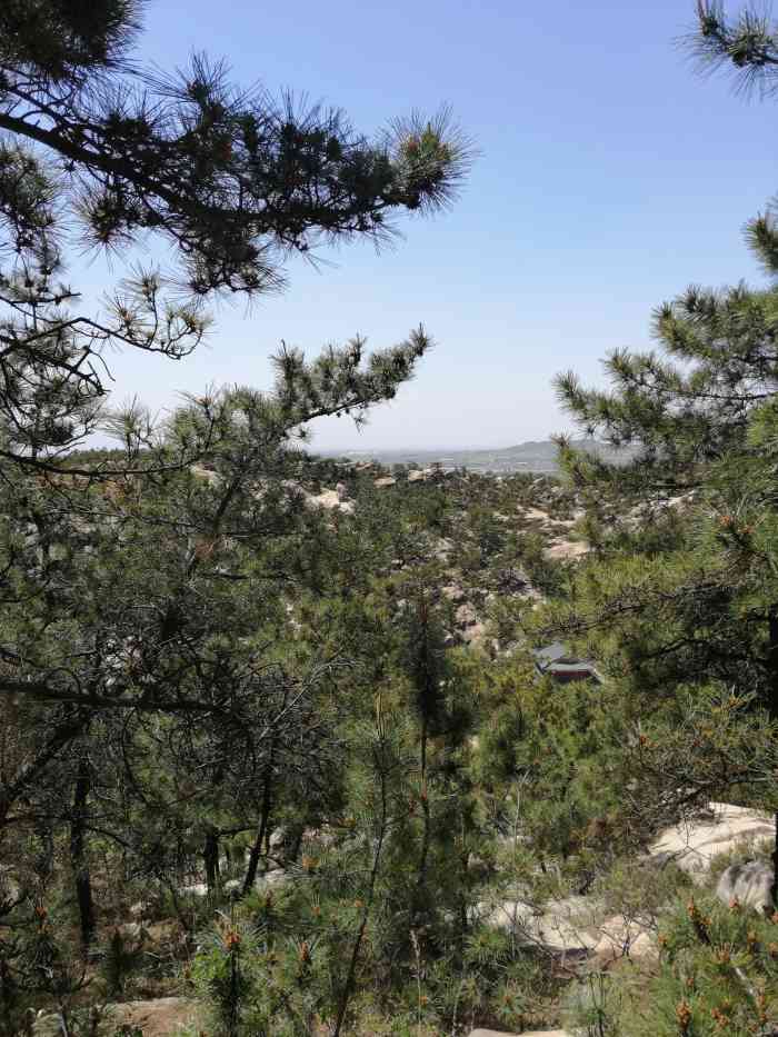 豹竹涧-"位置:平度城北3公里梨沟村 交通:自."-大众点评移动版