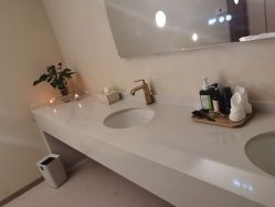 -隐逸SPA