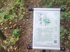 -世间香境·七溪地