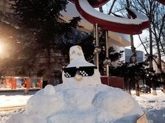 -黑龙江大学