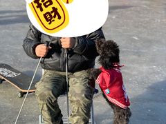 -东坝千亩湖公园