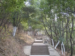 -赭山公园