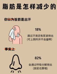 -Fundi张玉珊修身堂·indiba·BTL科技瘦身