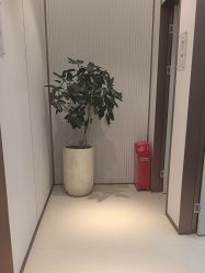 -禾丽康美医疗美容医院