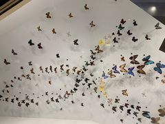 -长江文明馆
