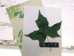 -知物癖(牛王庙店)