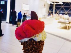 红什果冰淇淋-VENCHI 闻绮(北京国贸商城店)