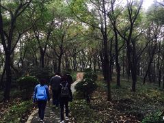 -上海市保健医疗中心(华东疗养院)