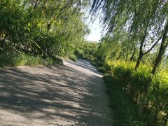 -西青郊野公园