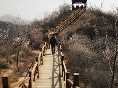 -大岭沟猕猴桃谷风景区