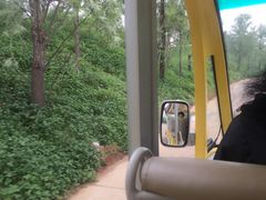 宝泰隆泰山地下大裂谷-泰安地下龙宫景区