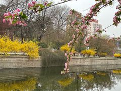 -元大都城垣遗址公园