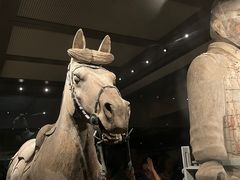 -秦始皇帝陵博物院(兵马俑)