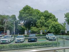 -曾宴·楚菜(湖北省博物馆店)