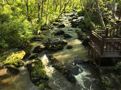 -汤旺河林海奇石景区