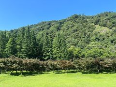 -五泄景区