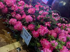 -舜和巴西烤肉餐厅(舜和国际店)