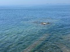 -银沙滩浴场