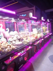 -嗨翻Hi-Fun竞技主题乐园·蹦床团建生日聚会(五棵松华熙店)