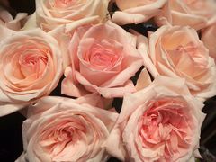 -谷莠子花艺·气球派对·绿植造景·花艺沙龙(金光华广场店)