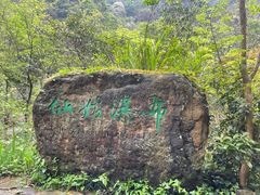 -姑婆山旅游区