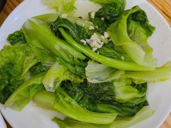 烫生菜-斯丹姜母鸭·古法干香(涂门街总店)
