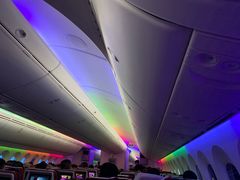 -金鹏航空有限责任公司(祝潘公路店)