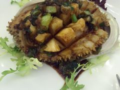 四头南非孔雀鲍鱼-好彩海鲜酒家(帝国中心店)