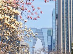 -中央公园(苏州工业园区)