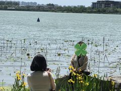 -金鸡湖桃花岛