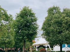 -南京银杏湖乐园