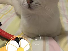 -85度C(上海松江九亭店)