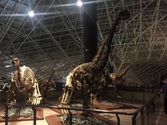 -世界恐龙谷景区