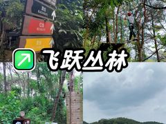 -芦仙山景区-飞越丛林探险乐园