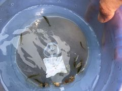 -碓臼峪自然风景区