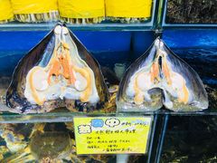 -蚝专家(北滘店)