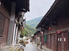 -秦巴石锅鱼(文化南路店)