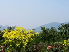 -梨木台悦来客农家院