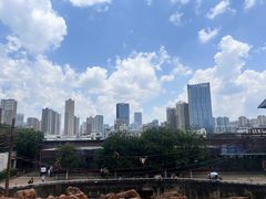 -昆明动物园