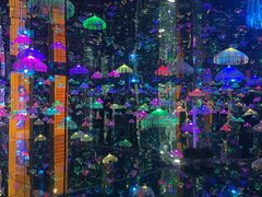 -迷斯伍德星空博物馆