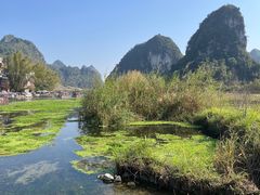 -靖西鹅泉风景区