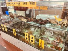 -寻味顺德·南记酒家·传统顺德菜·鱼生(广源路店)