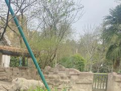 -成都动物园